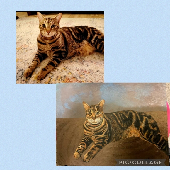 Have your Pet Painted!!! - Picture 11 of 12